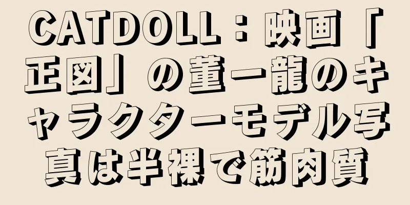 CATDOLL：映画「正図」の董一龍のキャラクターモデル写真は半裸で筋肉質