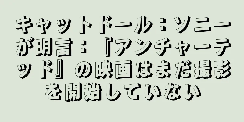 キャットドール：ソニーが明言：『アンチャーテッド』の映画はまだ撮影を開始していない