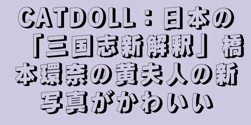 CATDOLL：日本の「三国志新解釈」橋本環奈の黄夫人の新写真がかわいい
