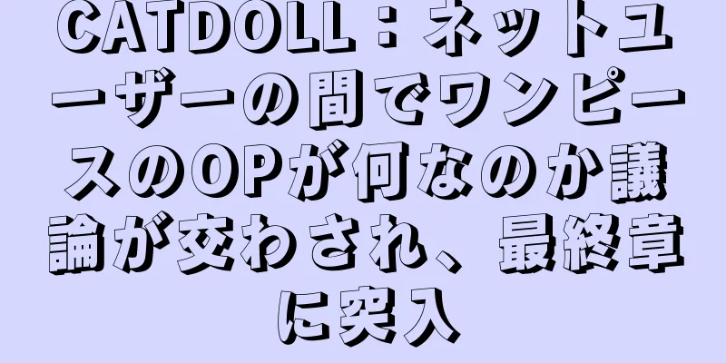 CATDOLL：ネットユーザーの間でワンピースのOPが何なのか議論が交わされ、最終章に突入