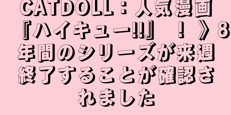 CATDOLL：人気漫画『ハイキュー!!』 ！ 》8年間のシリーズが来週終了することが確認されました