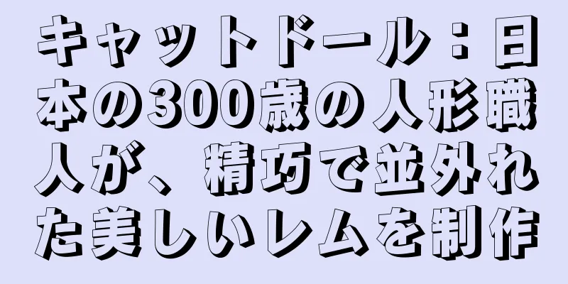 キャットドール：日本の300歳の人形職人が、精巧で並外れた美しいレムを制作