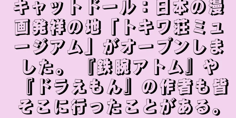 キャットドール：日本の漫画発祥の地「トキワ荘ミュージアム」がオープンしました。 『鉄腕アトム』や『ドラえもん』の作者も皆そこに行ったことがある。