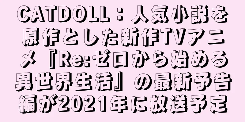 CATDOLL：人気小説を原作とした新作TVアニメ『Re:ゼロから始める異世界生活』の最新予告編が2021年に放送予定