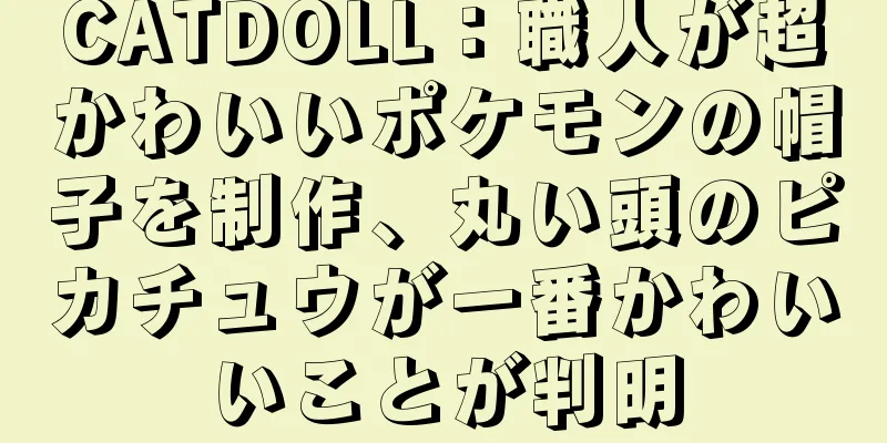 CATDOLL：職人が超かわいいポケモンの帽子を制作、丸い頭のピカチュウが一番かわいいことが判明