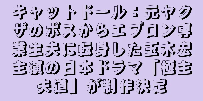キャットドール：元ヤクザのボスからエプロン専業主夫に転身した玉木宏主演の日本ドラマ「極主夫道」が制作決定
