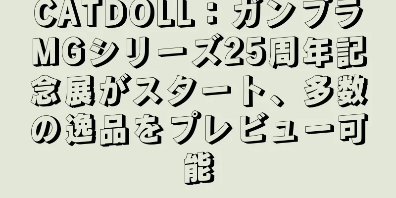 CATDOLL：ガンプラMGシリーズ25周年記念展がスタート、多数の逸品をプレビュー可能
