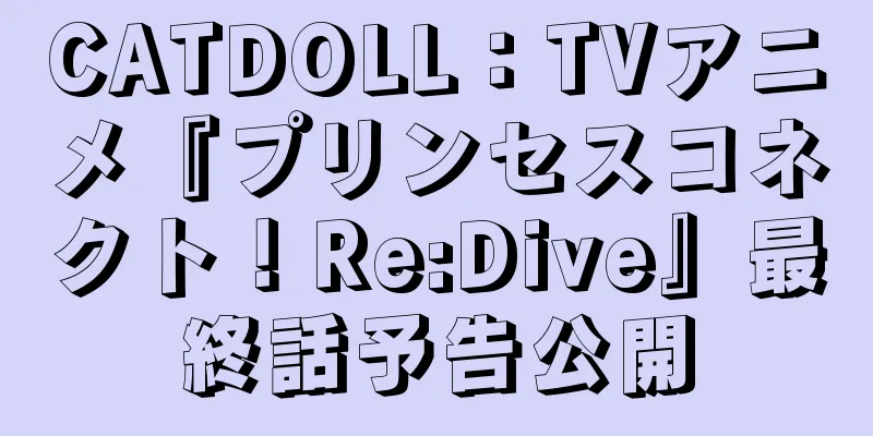 CATDOLL：TVアニメ『プリンセスコネクト！Re:Dive』最終話予告公開