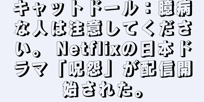 キャットドール：臆病な人は注意してください。 Netflixの日本ドラマ「呪怨」が配信開始された。