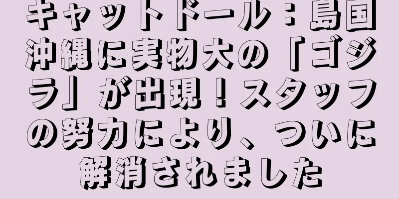 キャットドール：島国沖縄に実物大の「ゴジラ」が出現！スタッフの努力により、ついに解消されました