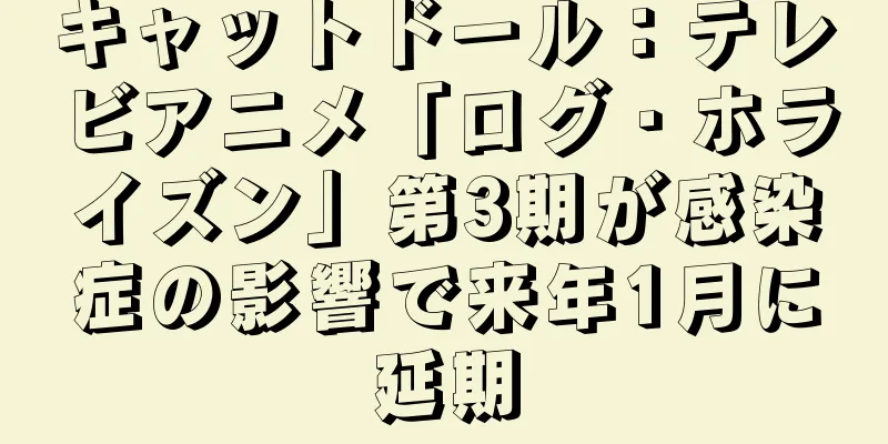 キャットドール：テレビアニメ「ログ・ホライズン」第3期が感染症の影響で来年1月に延期