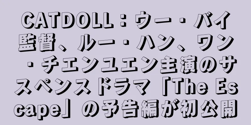 CATDOLL：ウー・バイ監督、ルー・ハン、ワン・チエンユエン主演のサスペンスドラマ「The Escape」の予告編が初公開