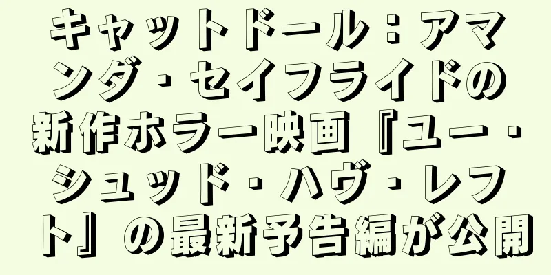 キャットドール：アマンダ・セイフライドの新作ホラー映画『ユー・シュッド・ハヴ・レフト』の最新予告編が公開