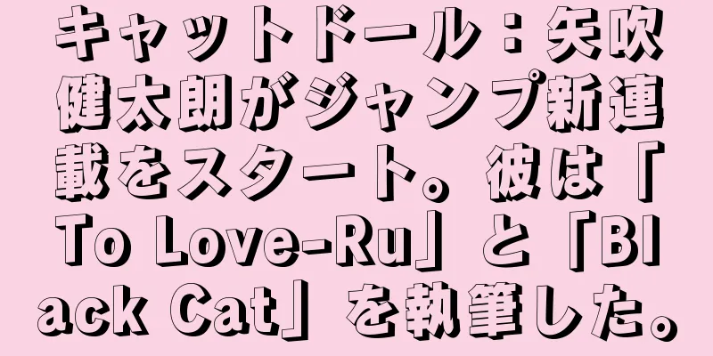 キャットドール：矢吹健太朗がジャンプ新連載をスタート。彼は「To Love-Ru」と「Black Cat」を執筆した。