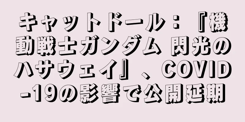 キャットドール：『機動戦士ガンダム 閃光のハサウェイ』、COVID-19の影響で公開延期