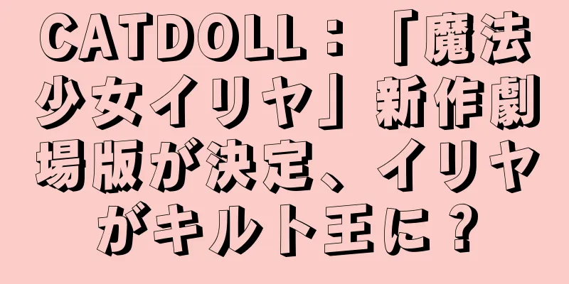 CATDOLL：「魔法少女イリヤ」新作劇場版が決定、イリヤがキルト王に？