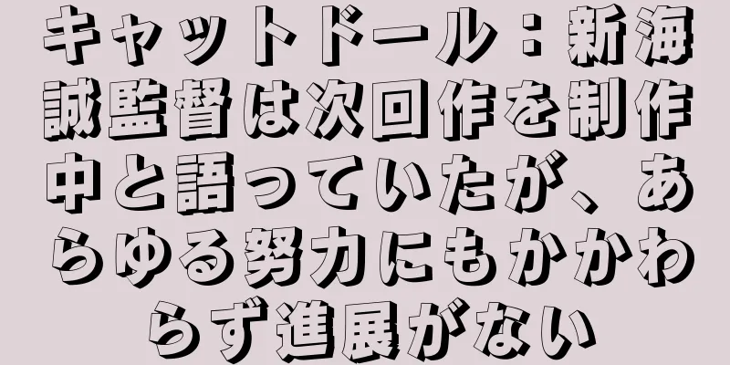 キャットドール：新海誠監督は次回作を制作中と語っていたが、あらゆる努力にもかかわらず進展がない