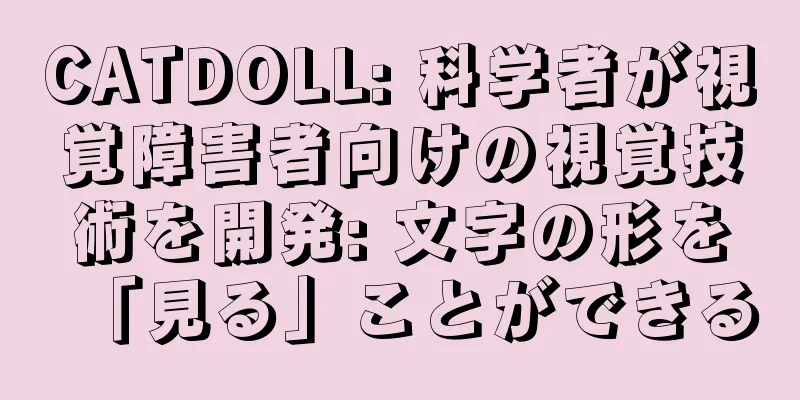 CATDOLL: 科学者が視覚障害者向けの視覚技術を開発: 文字の形を「見る」ことができる