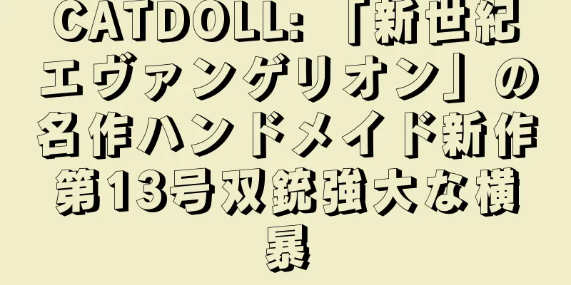CATDOLL: 「新世紀エヴァンゲリオン」の名作ハンドメイド新作第13号双銃強大な横暴