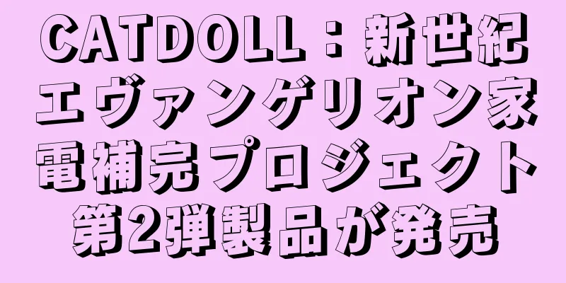 CATDOLL：新世紀エヴァンゲリオン家電補完プロジェクト第2弾製品が発売