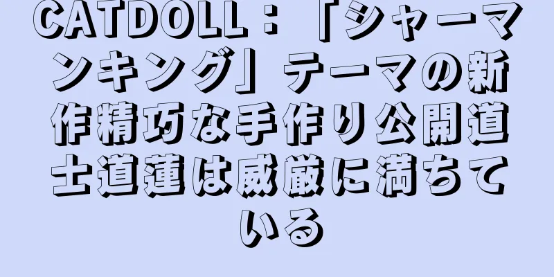CATDOLL：「シャーマンキング」テーマの新作精巧な手作り公開道士道蓮は威厳に満ちている