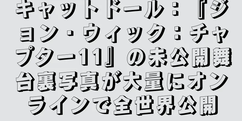 キャットドール：『ジョン・ウィック：チャプター11』の未公開舞台裏写真が大量にオンラインで全世界公開