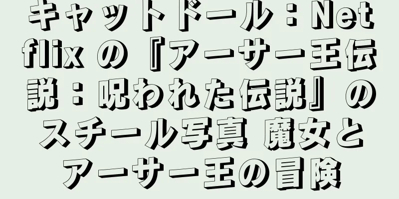 キャットドール：Netflix の『アーサー王伝説：呪われた伝説』のスチール写真 魔女とアーサー王の冒険
