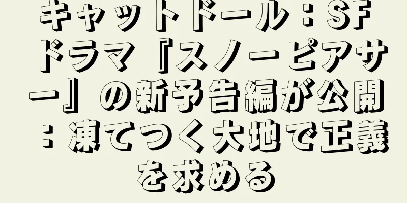 キャットドール：SFドラマ『スノーピアサー』の新予告編が公開：凍てつく大地で正義を求める