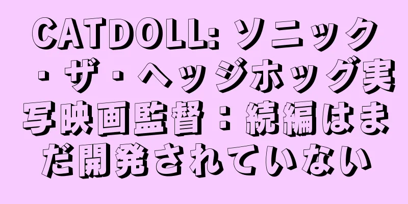 CATDOLL: ソニック・ザ・ヘッジホッグ実写映画監督：続編はまだ開発されていない