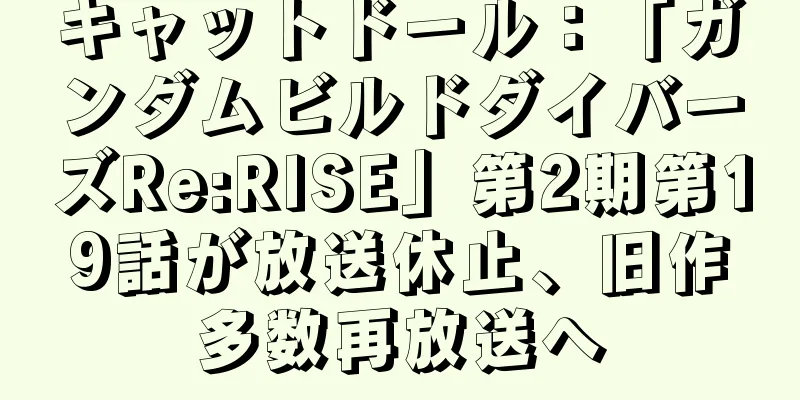 キャットドール：「ガンダムビルドダイバーズRe:RISE」第2期第19話が放送休止、旧作多数再放送へ