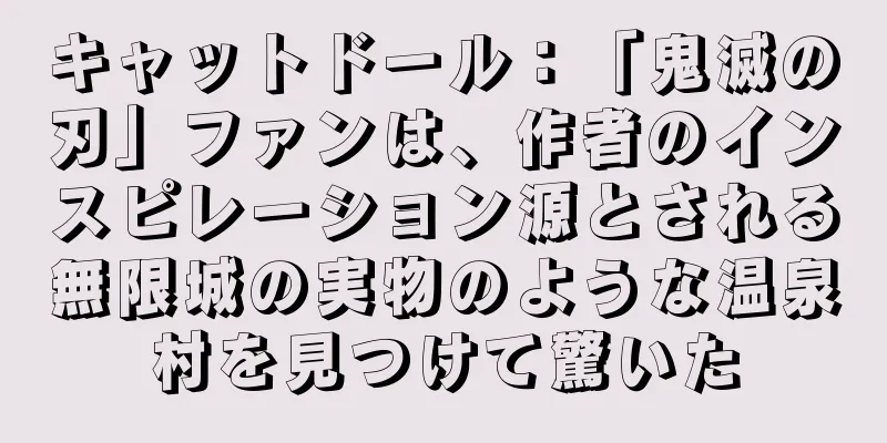 キャットドール：「鬼滅の刃」ファンは、作者のインスピレーション源とされる無限城の実物のような温泉村を見つけて驚いた