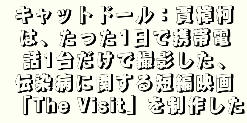 キャットドール：賈樟柯は、たった1日で携帯電話1台だけで撮影した、伝染病に関する短編映画「The Visit」を制作した