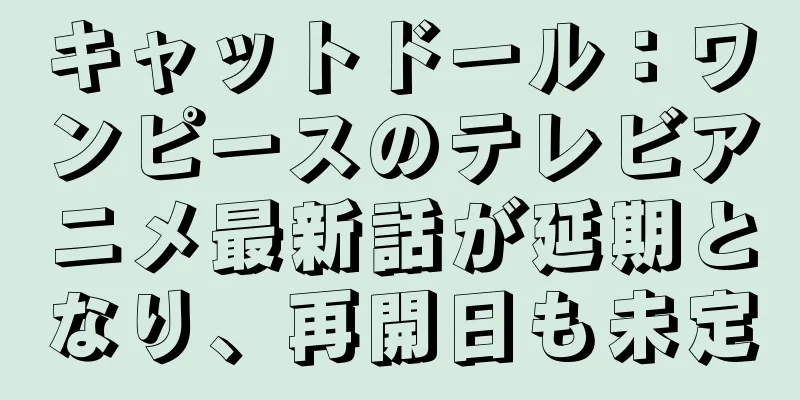 キャットドール：ワンピースのテレビアニメ最新話が延期となり、再開日も未定