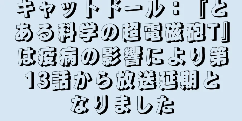 キャットドール：『とある科学の超電磁砲T』は疫病の影響により第13話から放送延期となりました