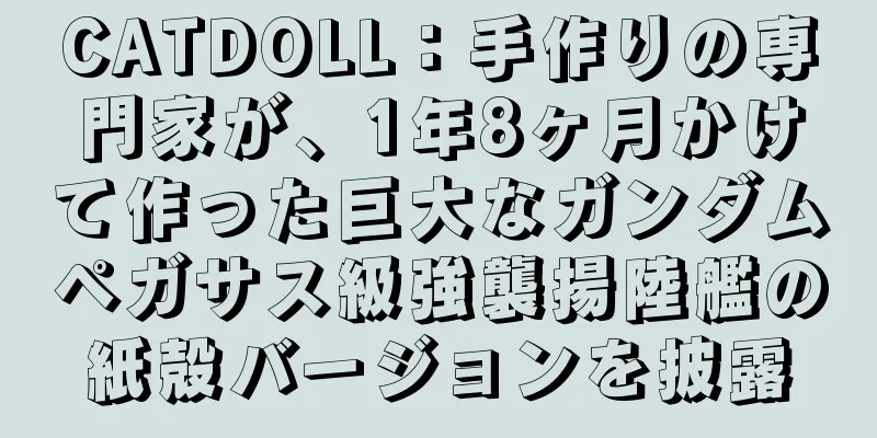 CATDOLL：手作りの専門家が、1年8ヶ月かけて作った巨大なガンダムペガサス級強襲揚陸艦の紙殻バージョンを披露