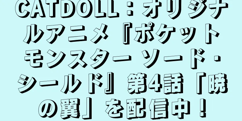 CATDOLL：オリジナルアニメ『ポケットモンスター ソード・シールド』第4話「暁の翼」を配信中！