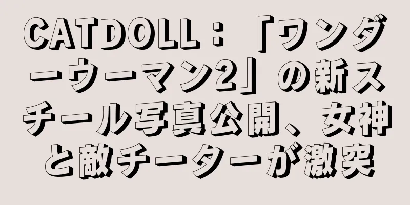 CATDOLL：「ワンダーウーマン2」の新スチール写真公開、女神と敵チーターが激突