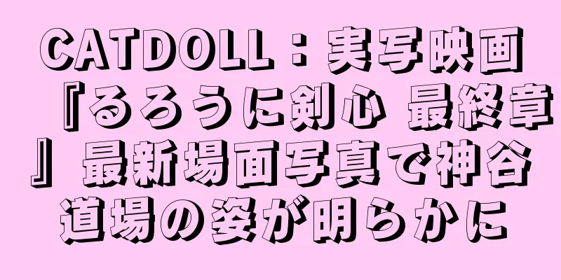 CATDOLL：実写映画『るろうに剣心 最終章』最新場面写真で神谷道場の姿が明らかに