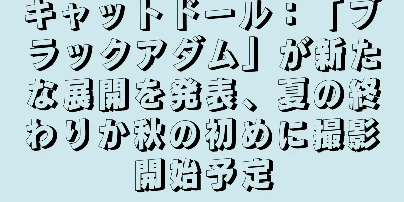 キャットドール：「ブラックアダム」が新たな展開を発表、夏の終わりか秋の初めに撮影開始予定