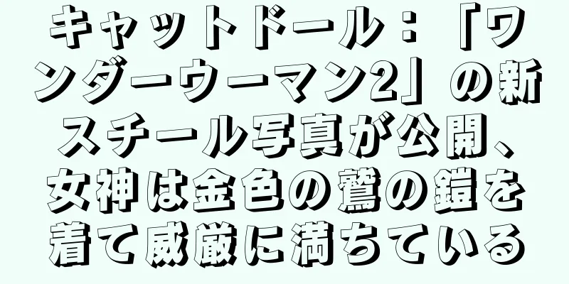 キャットドール：「ワンダーウーマン2」の新スチール写真が公開、女神は金色の鷲の鎧を着て威厳に満ちている
