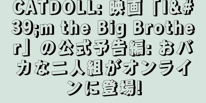 CATDOLL: 映画「I'm the Big Brother」の公式予告編: おバカな二人組がオンラインに登場!