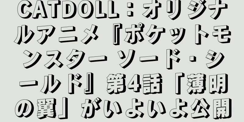 CATDOLL：オリジナルアニメ『ポケットモンスター ソード・シールド』第4話「薄明の翼」がいよいよ公開