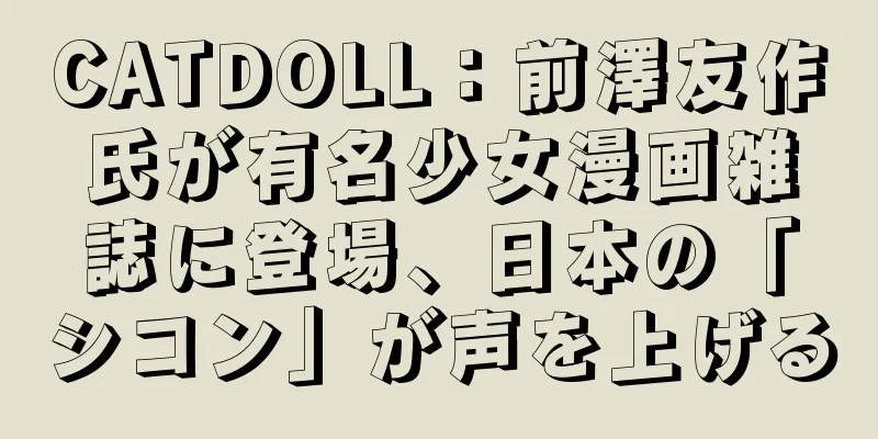 CATDOLL：前澤友作氏が有名少女漫画雑誌に登場、日本の「シコン」が声を上げる