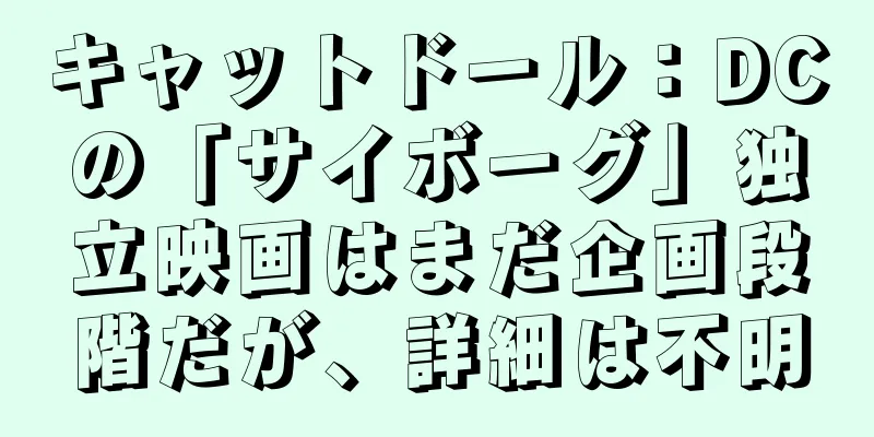 キャットドール：DCの「サイボーグ」独立映画はまだ企画段階だが、詳細は不明