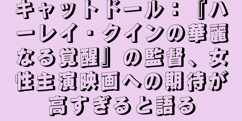 キャットドール：『ハーレイ・クインの華麗なる覚醒』の監督、女性主演映画への期待が高すぎると語る