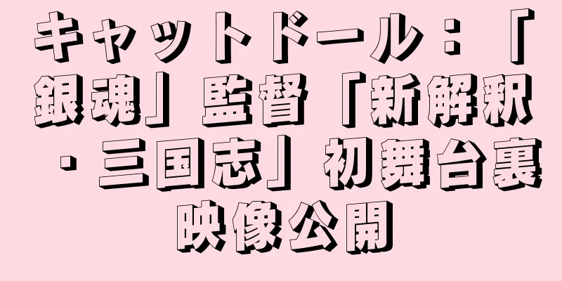 キャットドール：「銀魂」監督「新解釈・三国志」初舞台裏映像公開