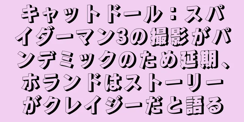 キャットドール：スパイダーマン3の撮影がパンデミックのため延期、ホランドはストーリーがクレイジーだと語る