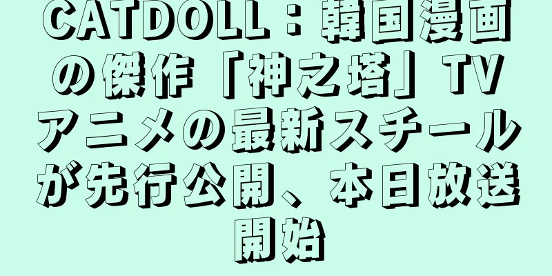 CATDOLL：韓国漫画の傑作「神之塔」TVアニメの最新スチールが先行公開、本日放送開始