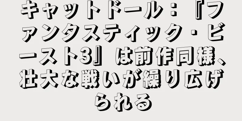 キャットドール：『ファンタスティック・ビースト3』は前作同様、壮大な戦いが繰り広げられる