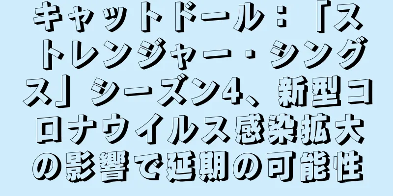 キャットドール：「ストレンジャー・シングス」シーズン4、新型コロナウイルス感染拡大の影響で延期の可能性